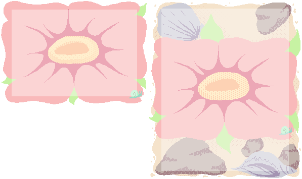 snail_balloon size chart