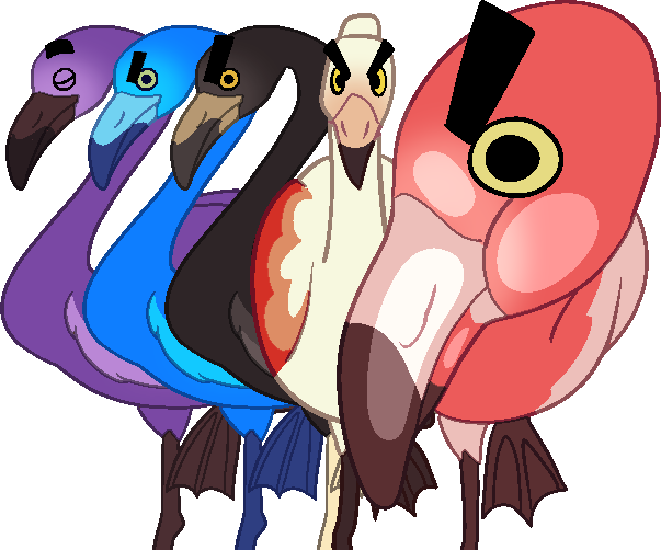 Normal Flamingo shell