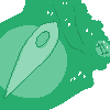 Moneydle shell